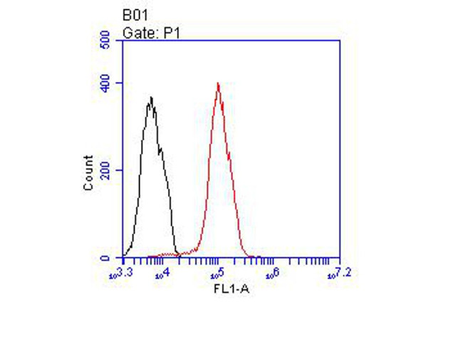 Androgen Receptor Antibody in Flow Cytometry (Flow)