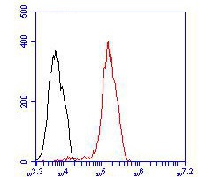 IRS1 Antibody in Flow Cytometry (Flow)