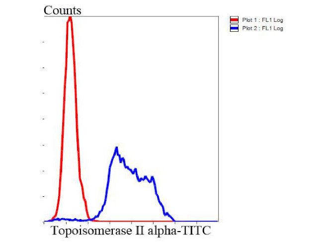 Topoisomerase II alpha Antibody in Flow Cytometry (Flow)