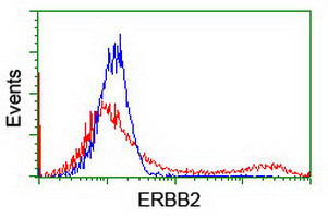 ERBB2 Antibody in Flow Cytometry (Flow)