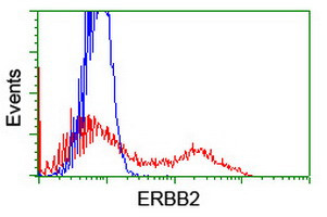 ERBB2 Antibody in Flow Cytometry (Flow)