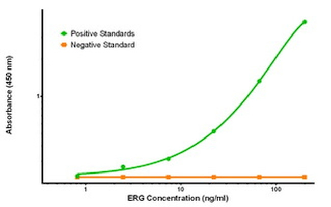 ERG Antibody in ELISA (ELISA)