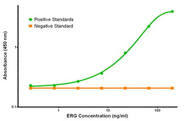 ERG Antibody in ELISA (ELISA)