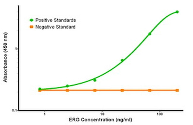 ERG Antibody in ELISA (ELISA)