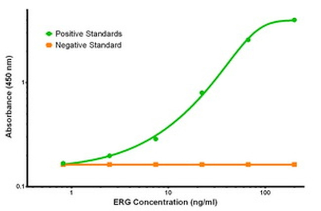 ERG Antibody in ELISA (ELISA)