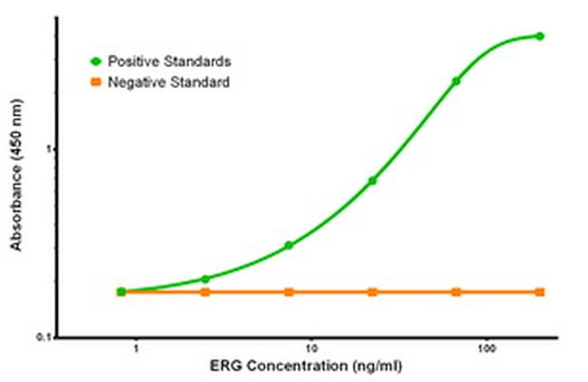 ERG Antibody in ELISA (ELISA)