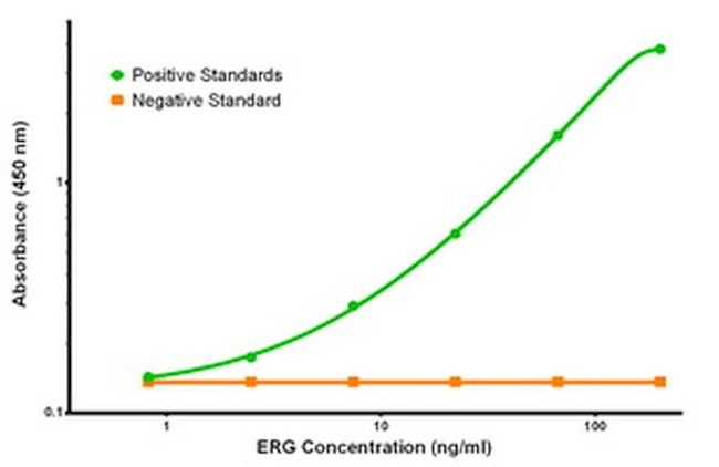 ERG Antibody in ELISA (ELISA)