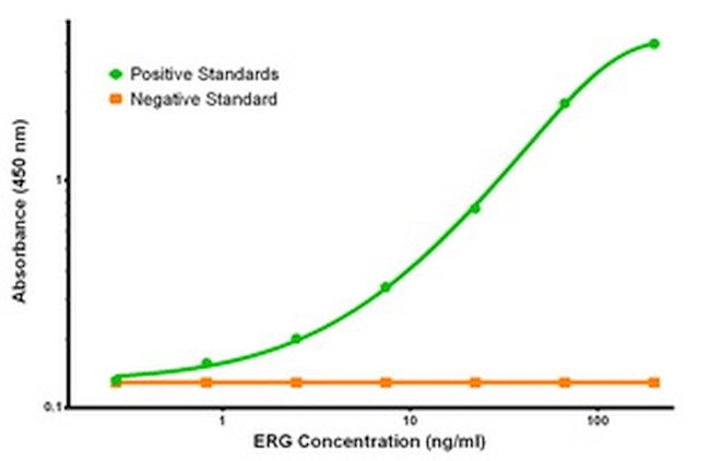 ERG Antibody in ELISA (ELISA)