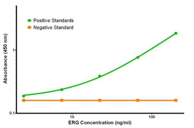 ERG Antibody in ELISA (ELISA)