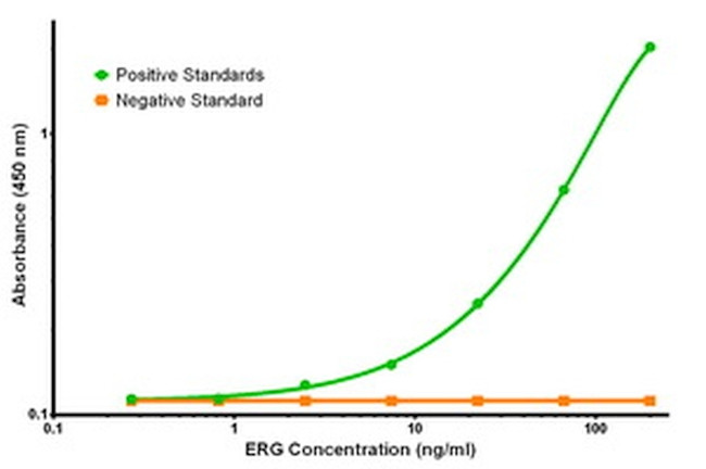 ERG Antibody in ELISA (ELISA)