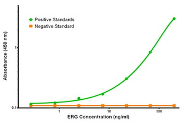 ERG Antibody in ELISA (ELISA)