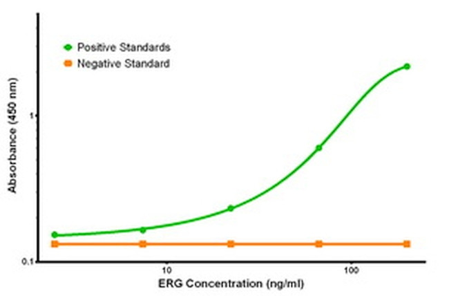 ERG Antibody in ELISA (ELISA)