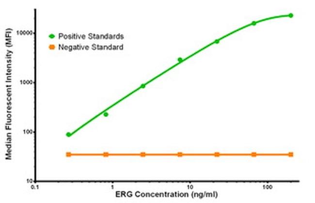 ERG Antibody in Luminex (LUM)