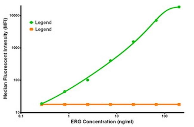 ERG Antibody in Luminex (LUM)