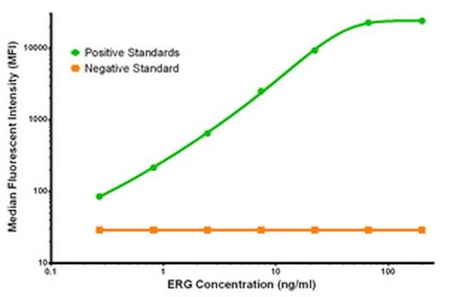 ERG Antibody in Luminex (LUM)