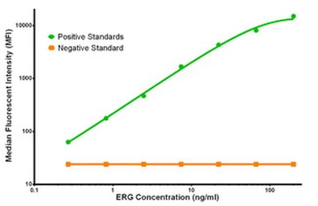 ERG Antibody in Luminex (LUM)