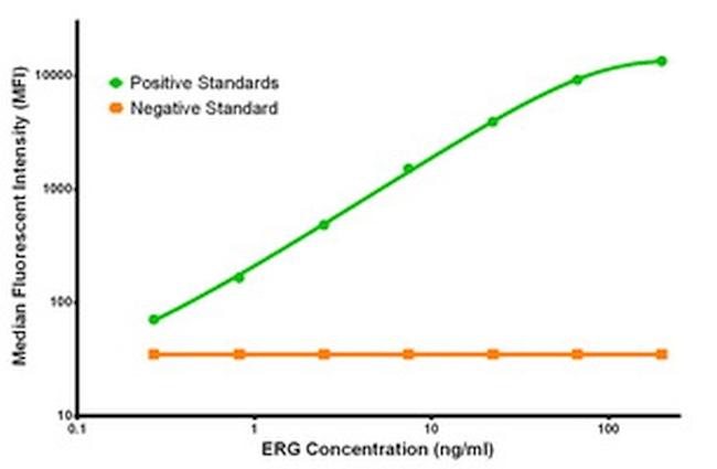 ERG Antibody in Luminex (LUM)