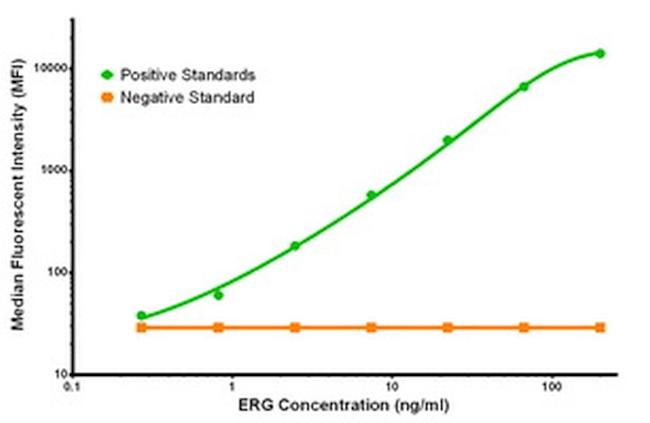 ERG Antibody in Luminex (LUM)