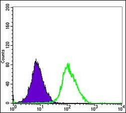 ERK3 Antibody in Flow Cytometry (Flow)