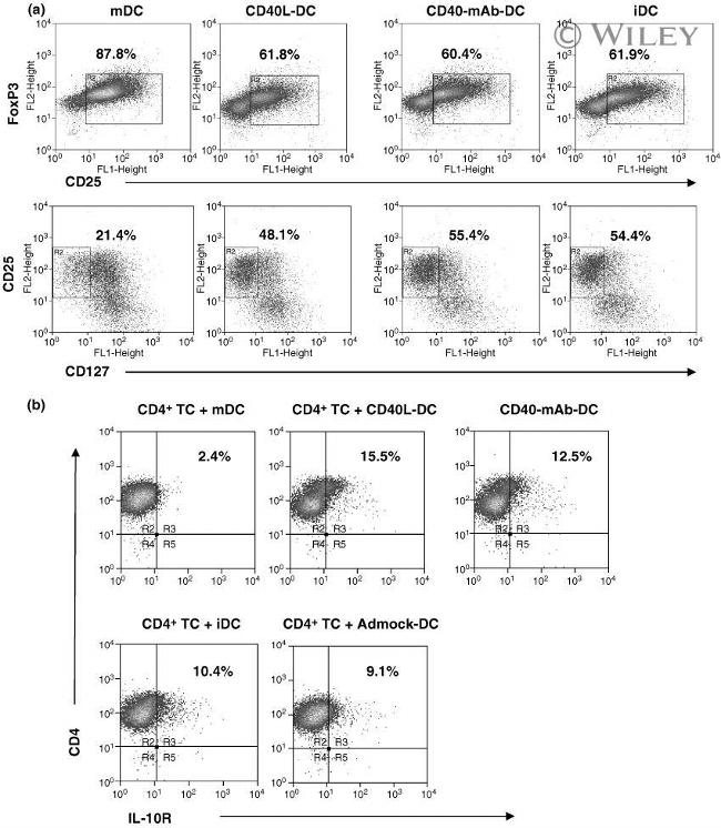 FOXP3 Antibody in Flow Cytometry (Flow)