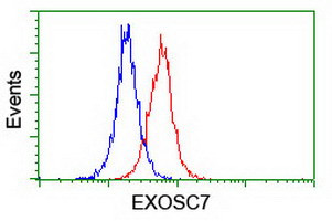 EXOSC7 Antibody in Flow Cytometry (Flow)