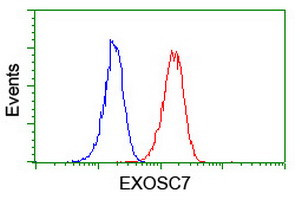 EXOSC7 Antibody in Flow Cytometry (Flow)