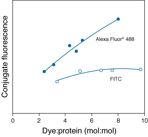 Mouse IgG (H+L) Cross-Adsorbed Secondary Antibody