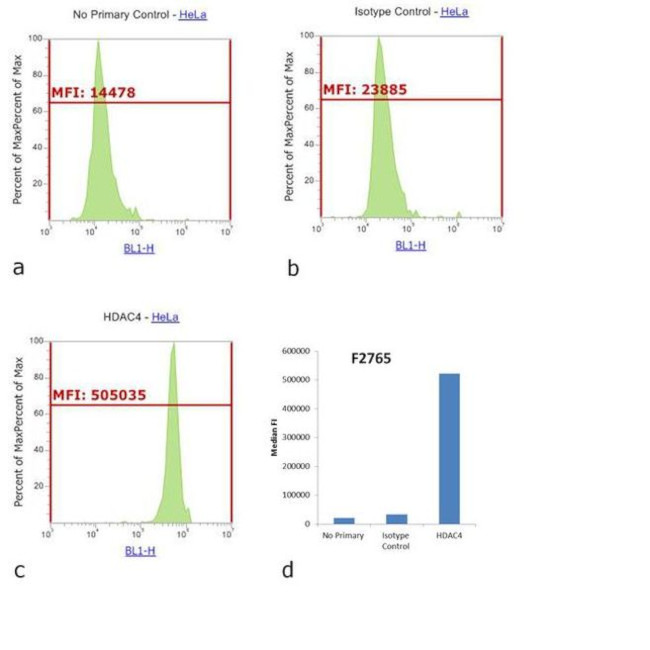 Rabbit IgG (H+L) Cross-Adsorbed Secondary Antibody in Flow Cytometry (Flow)