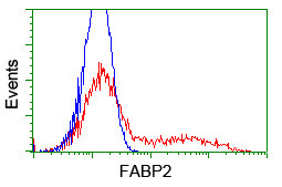 FABP2 Antibody in Flow Cytometry (Flow)