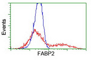 FABP2 Antibody in Flow Cytometry (Flow)