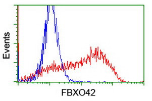 FBXO42 Antibody in Flow Cytometry (Flow)