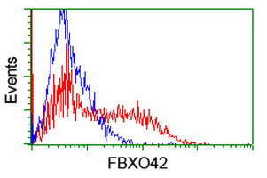 FBXO42 Antibody in Flow Cytometry (Flow)