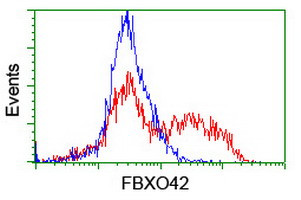FBXO42 Antibody in Flow Cytometry (Flow)