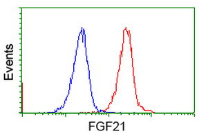 FGF21 Antibody in Flow Cytometry (Flow)