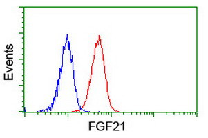 FGF21 Antibody in Flow Cytometry (Flow)