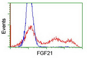 FGF21 Antibody in Flow Cytometry (Flow)