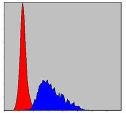 Fibrinogen gamma Antibody in Flow Cytometry (Flow)