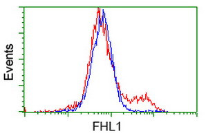 FHL1 Antibody in Flow Cytometry (Flow)