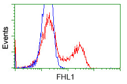 FHL1 Antibody in Flow Cytometry (Flow)