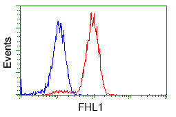 FHL1 Antibody in Flow Cytometry (Flow)