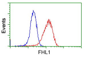 FHL1 Antibody in Flow Cytometry (Flow)