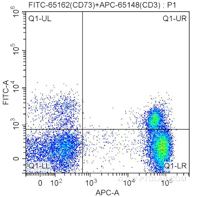 CD73 Antibody in Flow Cytometry (Flow)