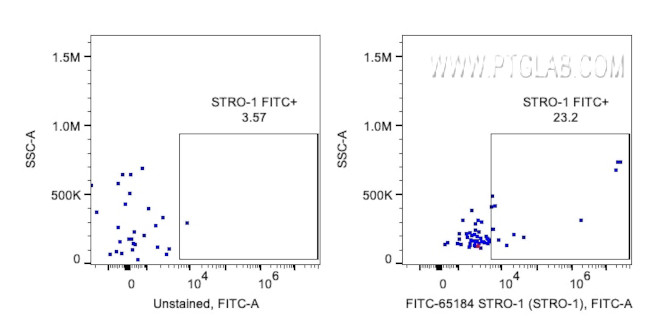 STRO-1 Antibody in Flow Cytometry (Flow)