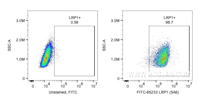 LRP1 Antibody in Flow Cytometry (Flow)