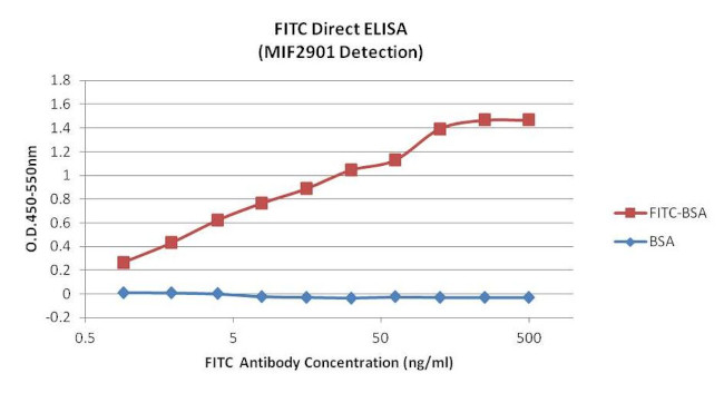 FITC Antibody in ELISA (ELISA)