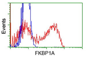 FKBP1A Antibody in Flow Cytometry (Flow)