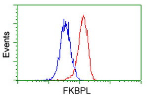 FKBPL Antibody in Flow Cytometry (Flow)