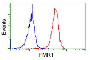 FMR1 Antibody in Flow Cytometry (Flow)