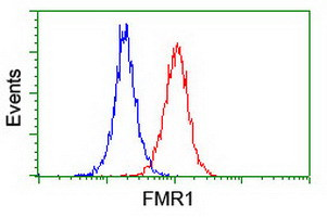 FMR1 Antibody in Flow Cytometry (Flow)