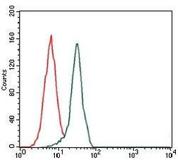 Fibronectin Antibody in Flow Cytometry (Flow)